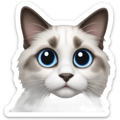 blue eyed ragdoll cat sticker