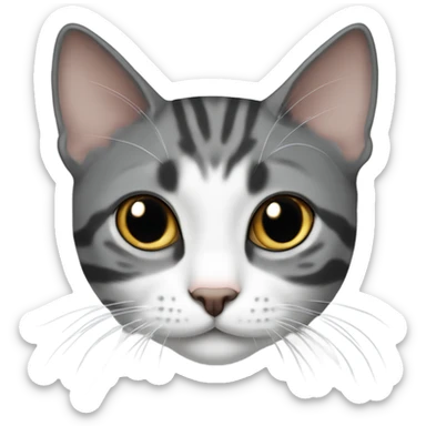 dark grey and white tabby cat shorthair  sticker