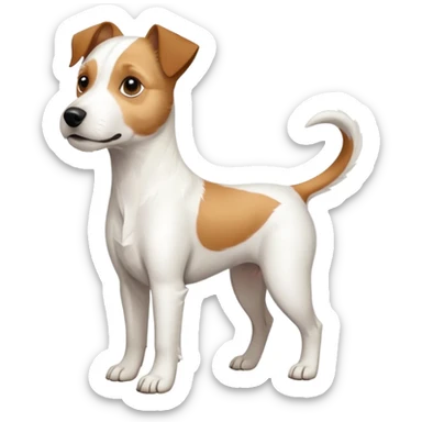a full body white parson russell looking dog the size of a kelpie with light brown ears and a light brown patch on one eye and a large snout sticker