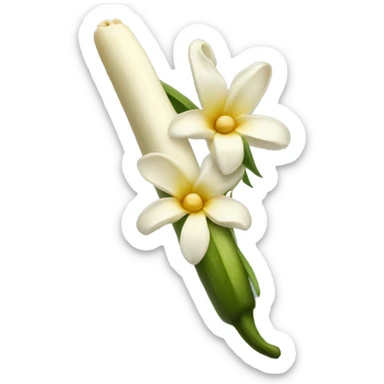  vanilla beans with flower sticker