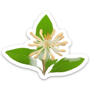 ashwagandha with flower sticker