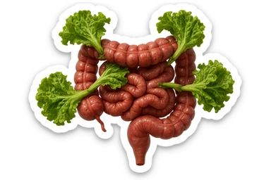 foglie di insalata che attaccano un intestino anatomico umano per distruggerlo, iperrealisticoù sticker