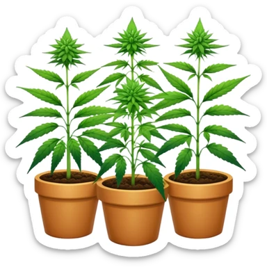 plantas vs maconha sticker