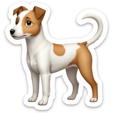 a full body white parson russell looking dog the size of a kelpie with light brown ears and a light brown patch on one eye and a large snout sticker