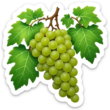 Grape vine sticker