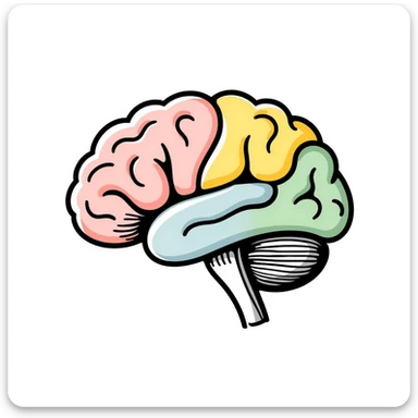Anatomical brain diagram with colored regions: cerebrum in pink, cerebellum in yellow, brain stem in green, and frontal lobe in light blue. Detailed hand-drawn medical illustration with labeled major parts and lobes. sticker