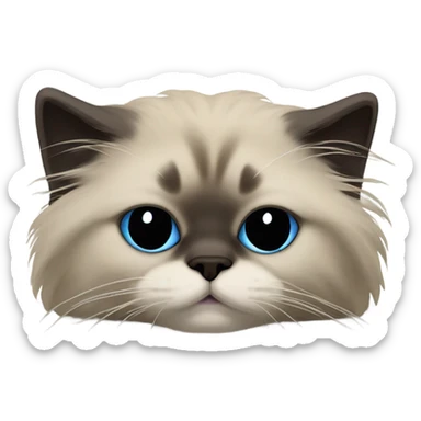 himalayan ragdoll cat asleep full dark face and feet sticker