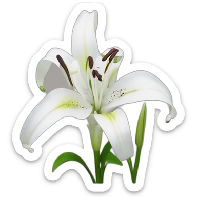 lilium sticker