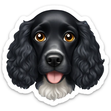 Black cocker spaniel dog with Heterochromia sticker