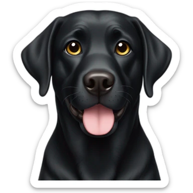 black labrador who is 5 years old sticker