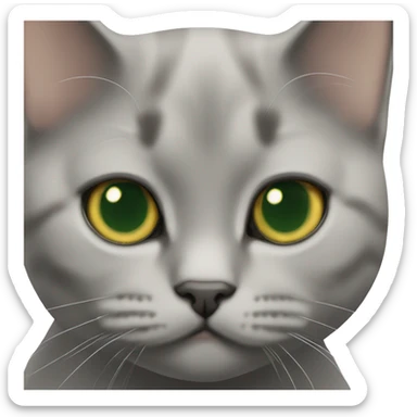 British shorthair cat gold ny11 green eyes sticker