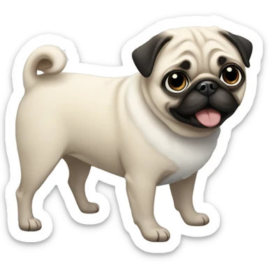 Snowflakes and pug sticker
