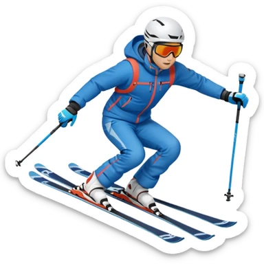 Ski sticker