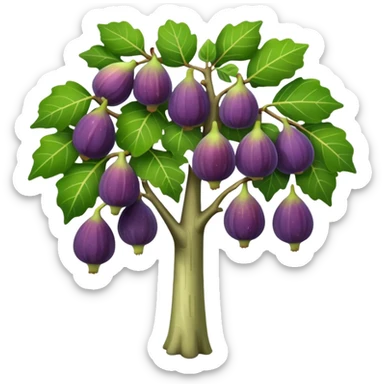 fig tree  sticker