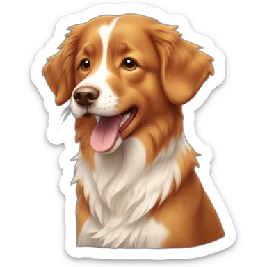 crying nova scotia duck tolling retriever sticker