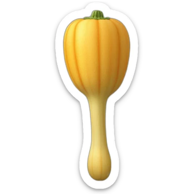 Squash Schläger sticker