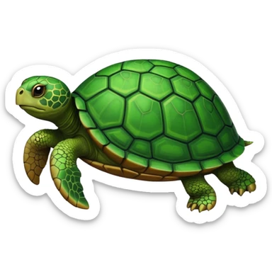 Turtle sticker