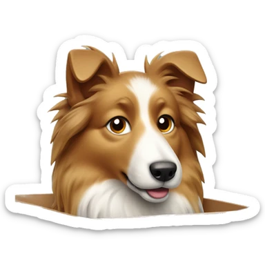Shetland sheepdog in closed box sticker