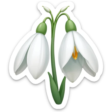 snowdrop sticker