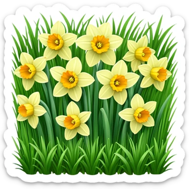 daffodils sticker