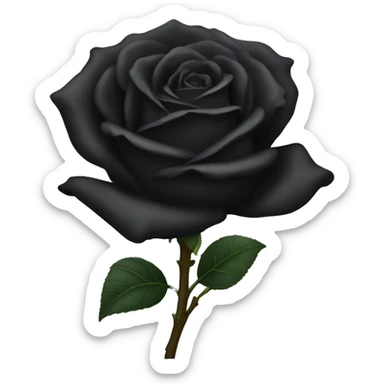 Black Rose sticker