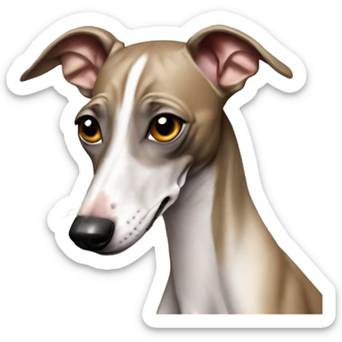 Italian greyhound drools. sticker