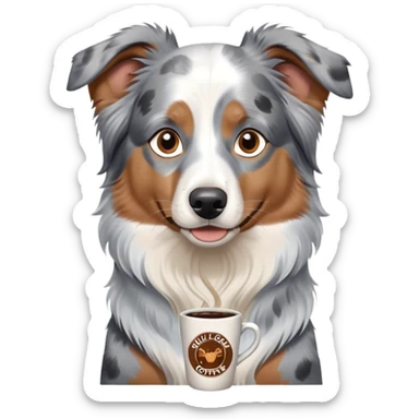 A Australian shepherd blue Merle with brown eyes wearing a shirt that says Full Circle Coffee House sticker