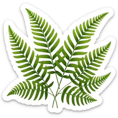 lush green fern fronds, natural plant sticker