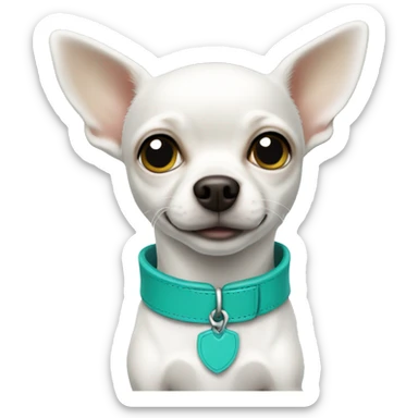 White Chihuahua with teal collar  sticker