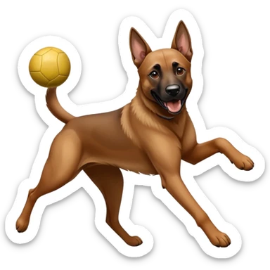 Adult malinoi catching a Ball & puppy malinoi run behind sticker