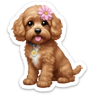  Cavapoo with light pink flower  sticker