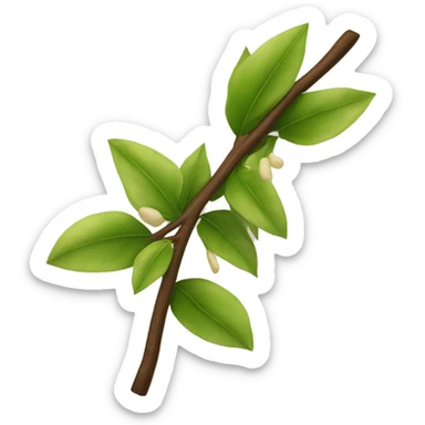 vanilla branch sticker