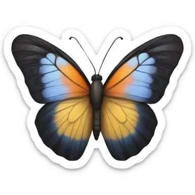 butterfly  sticker