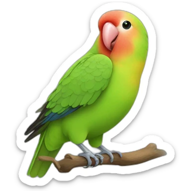 lovebird sticker