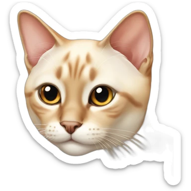 Flamepoint siamese cat sticker