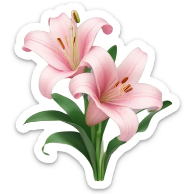 Light pink lilly bouquet sticker
