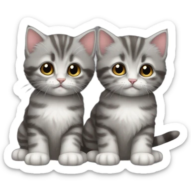 Two grey tabby kittens, one super fluffy sticker