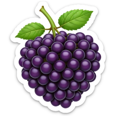 blackberry sticker