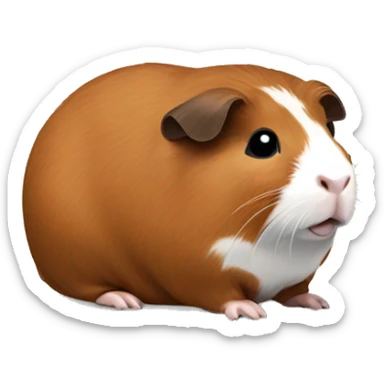 Brown guinea pig sticker