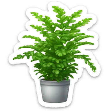 nephrolepis exaltata plant sticker