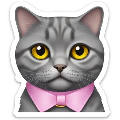 gray scottish fold cat with yellow eyes wearing a pink collar sticker