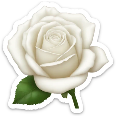 white rose sticker