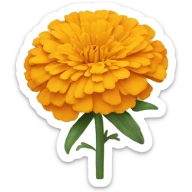 marigold sticker