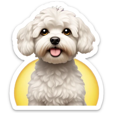 Maltipoo dog with sun behind head  sticker