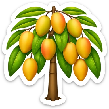 Mango tree, very less mangos. sticker