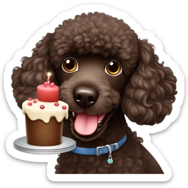 dark brown poodle dog with a tongue slightly sticking out . He has a birthday cake sticker