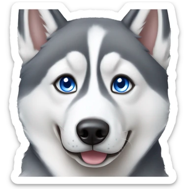 Gray Siberian Husky with blue eyes  sticker