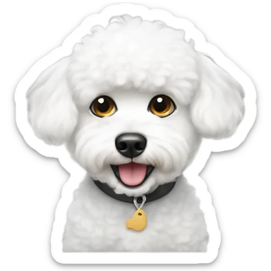 Small white bichon begging for food  sticker