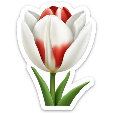 White and red tulips sticker