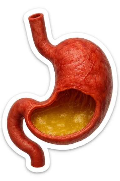 stomaco umano anatomico infiammato con acido giallo all'interno, iperrealistico 4k, isolato su sfondo bianco sticker